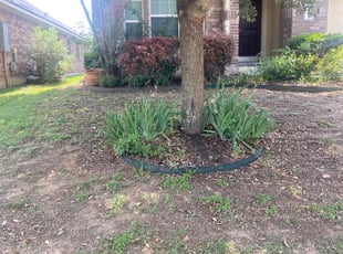 Weeding by Bradley Matthiesen for Samuel B. in Boerne, TX