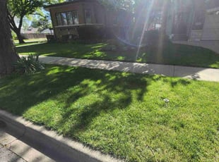 Jason C.'s Lawn Mowing Service service result