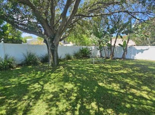 Donna H.'s Grass Cutting service result