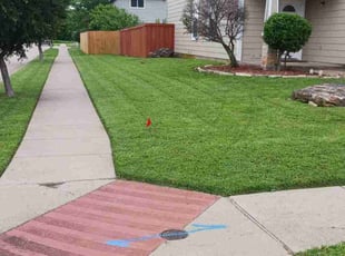 Glenise H.'s Lawn Care service result