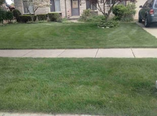 Tracy D.'s Grass Cutting service result