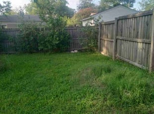 Bush Trimming by Lyman Whitaker for Joshua H. in Hampton, VA