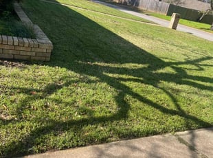 Dave W.'s Lawn Service service result