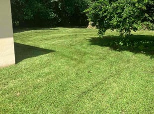 Larry W.'s Lawn Mowing service result