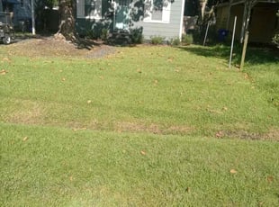 Harry L.'s Yard Cutting service result