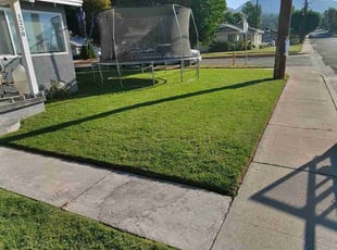 Derek L.'s Lawn Mowing Service service result