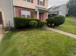 Bush Trimming by Zachary Krenik for Ralph T. in Upper Marlboro, MD