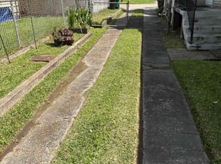 Lolita H.'s Lawn Service service result