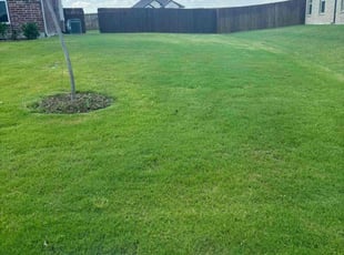 Legend H.'s Lawn Mowing service result
