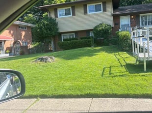 Bush Trimming by Henri Pineda for Chandra W. in District Heights, MD