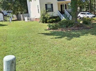 Anitra B.'s Lawn Care service result