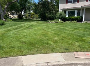 Lynda M.'s Lawn Mowing service result