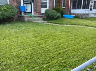 Dan M.'s Lawn Service service result