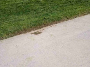 Valerie L.'s Lawn Service service result