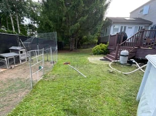 Paul P.'s Lawn Mowing service result
