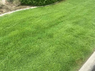 Kerianne L.'s Lawn Service service result