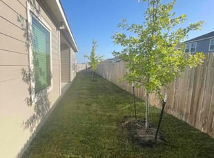 Michael W.'s Lawn Service service result