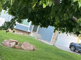 Misha M.'s Lawn Service service result