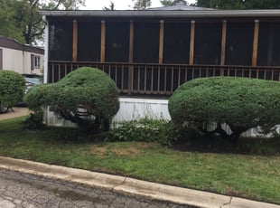 Bush Trimming by Phillip Kukla for Patti K. in Wheeling, IL