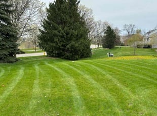 Scott O.'s Lawn Maintenance service result