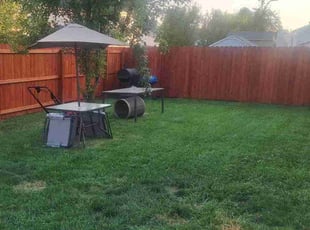 Michael Z.'s Grass Cutting service result