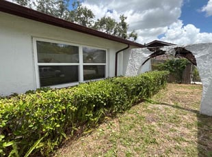 Bush Trimming by Jacob Thompson for Curt C. in Pinellas Park, FL