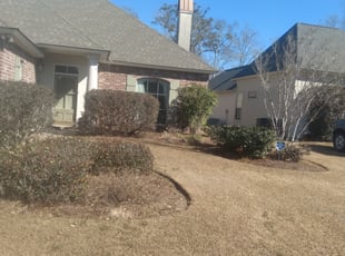 Bush Trimming by Gregory Lewis for Yoon Ha L. in Baton Rouge, LA