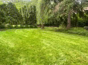 Linda S.'s Lawn Care service result