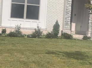 Luis R.'s Lawn Mowing service result