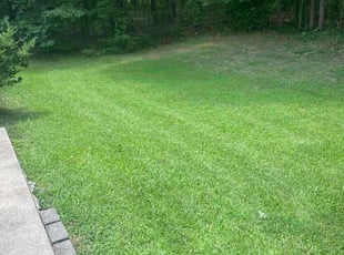 Kelli j.'s Lawn Care service result