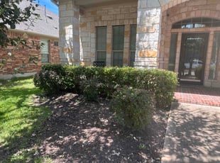 Bush Trimming by Jesus Cepeda for Mark P. in Cedar Park, TX