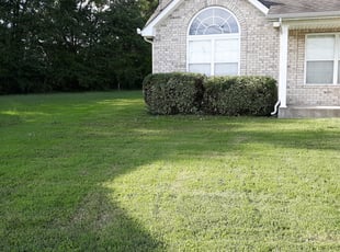 Bush Trimming by Darrell Ingle for Katrina H. in La Vergne, TN