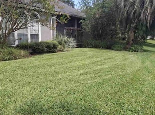 Chanell C.'s Lawn Service service result