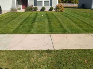Dan S.'s Lawn Care service result