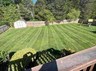Wendy C.'s Lawn Service service result