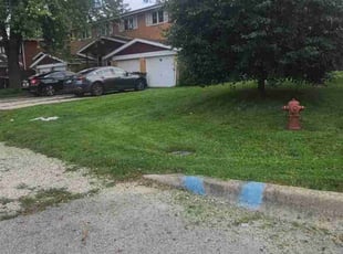 Darleen C.'s Grass Cutting service result