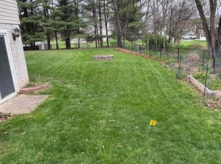 Jeanetta S.'s Lawn Service service result
