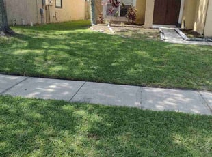 Shiela W.'s Grass Cutting service result