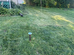 PAT L.'s Lawn Care service result