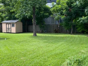Shaphon C.'s Yard Cutting service result