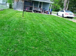 Tonya H.'s Lawn Service service result