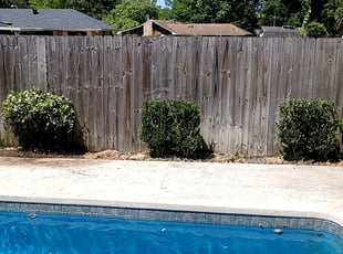 Bush Trimming by George Capace for Bridgette T. in Baton Rouge, LA