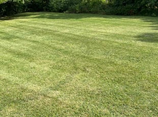 Jennifer C.'s Lawn Care service result