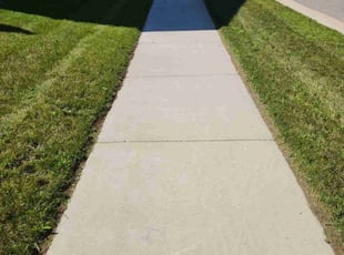 Kausar Z.'s Lawn Mowing service result