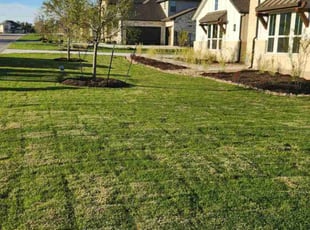 Jalal S.'s Lawn Care service result
