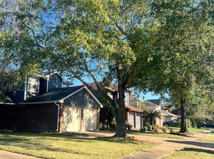 Seth N.'s Lawn Service service result