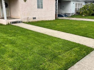 cassandra b.'s Lawn Service service result