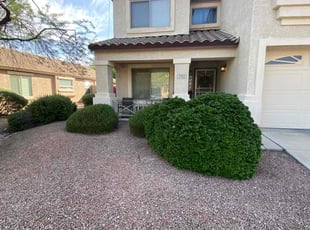 Bush Trimming by Sampson Macias for Aaron O. in Goodyear, AZ