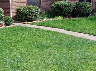 Jessica G.'s Lawn Mowing Service service result