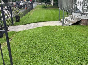Guillermo L.'s Lawn Service service result